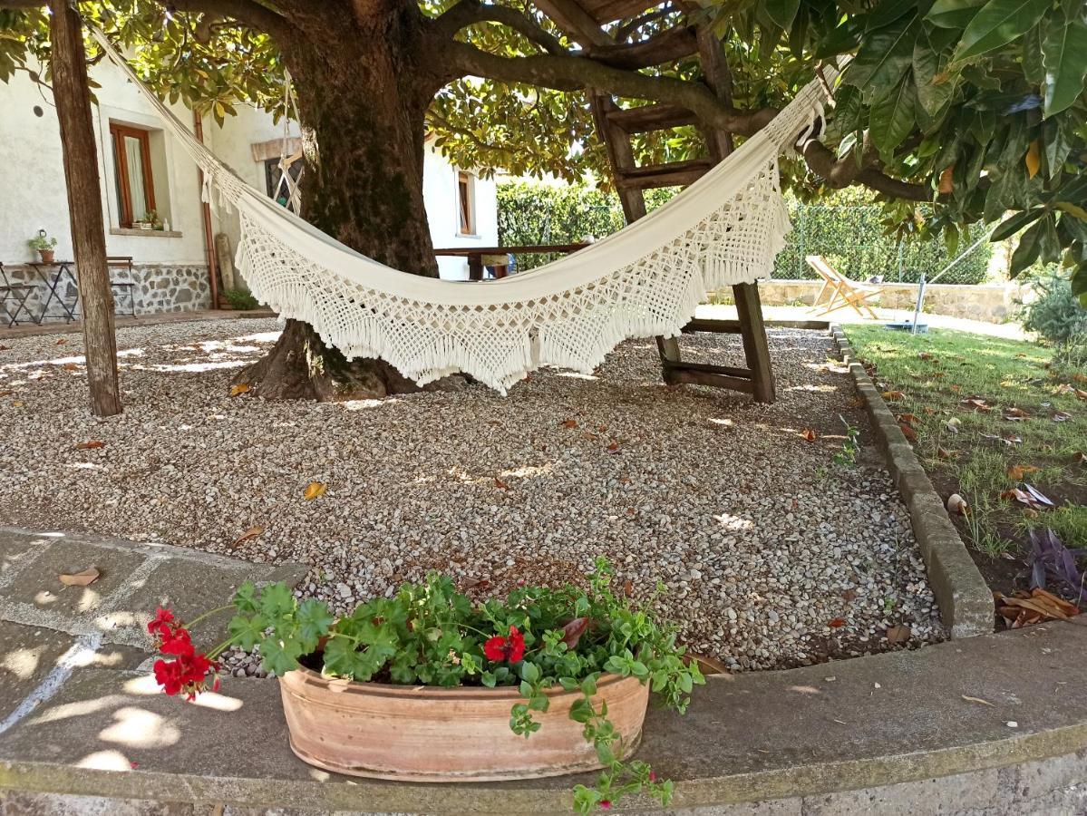 B&B Sole Mio Velletri Exterior foto