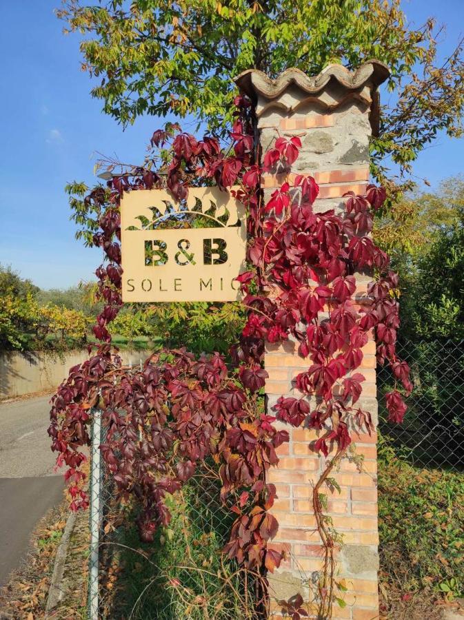 B&B Sole Mio Velletri Exterior foto